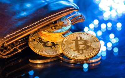 The Ultimate Guide to Cryptocurrency Wallets